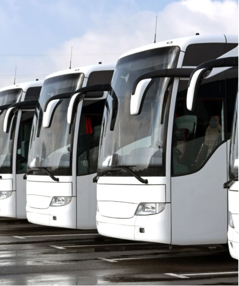 Vehicle Sales & Leasing